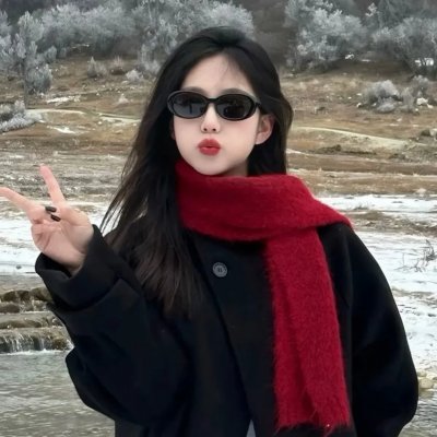 迪克切尼眼中的世界