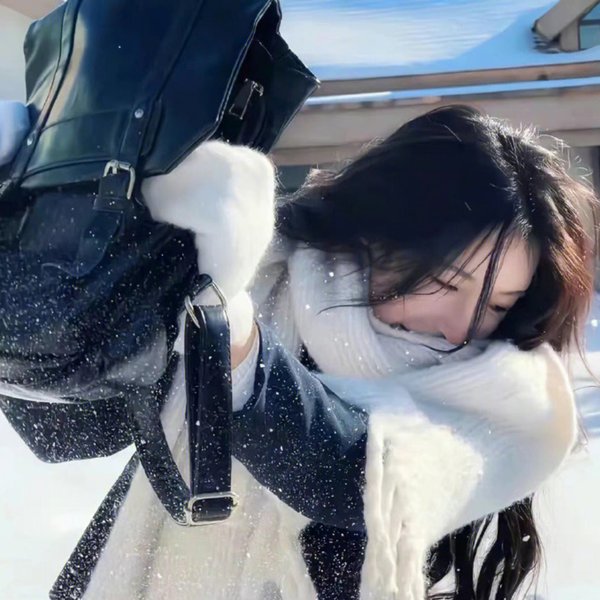 她的成功日记